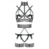 Özel Tasarım Seksi Harness Takım - Brf350