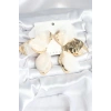 Pirinç Gold Renk Beyaz Tüllü Lotus Kadın Küpe - TJ-BKP11373
