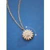 Premium Kutusunda 9 Adet Yapay Gül  Ve Dönen Zirkon Kaplama Kolye Sevgiliye Eşe Özel Hediye Seti