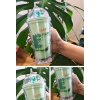 Sevimli Dino Temalı Çift Katman 450 ml Suluk Pipetli Mika Matara Yeşil 2769