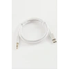 Type C to 3,5 AUX Audio