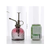 Vintage Cam Bitki Sulama Spreyi – Dekoratif Püskürtme Kolonya Şişesi 200 ml Kırmızı