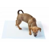Yıkanabilir Köpek Çiş Pedi - 100 X 100 Cm 5li Paket