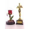 Yılın En İyi Sevgilisi Oscar Ödülü ve Led Işıklı Fanus Gül Seti
