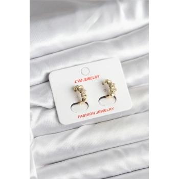 14K Gold Renk Kaplama CM Kadın Küpe - TJ-BKP11403