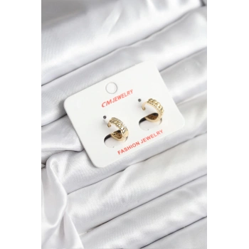 14K Gold Renk Kaplama CM Kadın Küpe - TJ-BKP11407