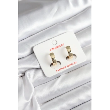 14K Gold Renk Kaplama CM Kadın Küpe - TJ-BKP11408