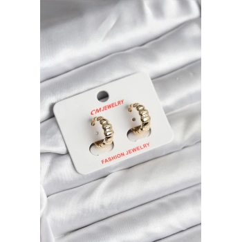 14K Gold Renk Kaplama CM Kadın Küpe - TJ-BKP11422