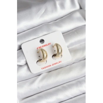 14K Gold Renk Kaplama CM Kadın Küpe - TJ-BKP11429