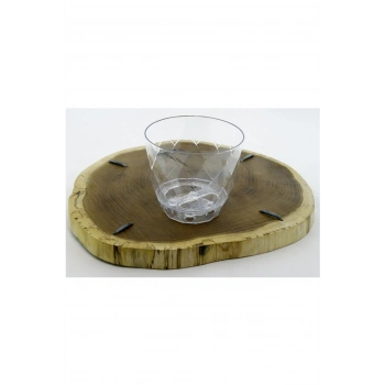 2 No Orkide Saksı Yakamoz -KRS-462