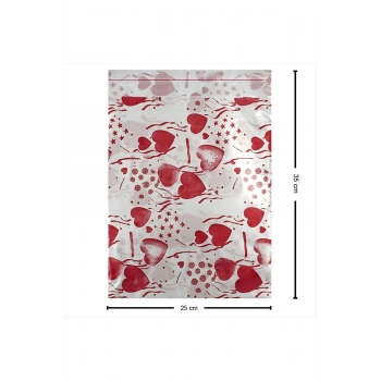 25*35 Hediye Poşet Paketi 100lü