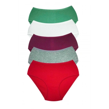 5 Adet Kadın Yüksek Bel Ribana Bato Külot S044