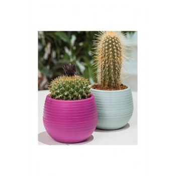 Bitki Ve Kaktüs Saksısı 0,13 Lt 1 No -ES01