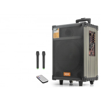Bluetooth Hoparlör Fm Radyo 12 Inç Usb Tf Aux Çift Mikrofonlu Kumandalı - Siyah NDRC12