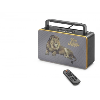 Bluetooth Nostaljik Fm Radyo Usb Tf Aux Kumandalı Taşınabilir Hoparlör - Siyah FX2506B