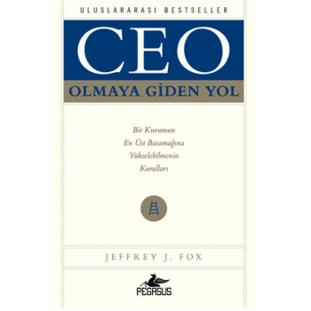 Ceo Olmaya Giden Yol