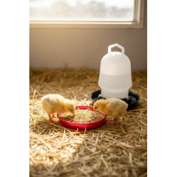 Civciv Suluk 0,75 Ml Kaliteli Plastik + Tabak Yemlik