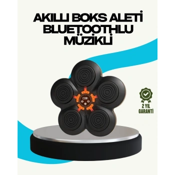 Ev Tipi Akıllı Boks Duvar Paneli Müzikli Bluetoothlu Refleks Geliştirme Cihazı