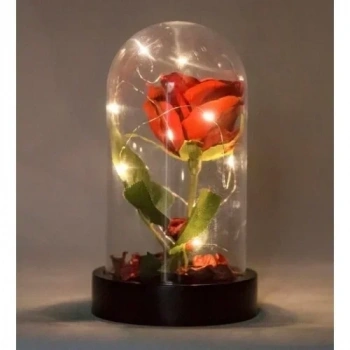 Fanusta Led Işıklı Kırmızı Gül ve Kırmızı Mini Ayıcık Set Sevgiliye Hediye 01W