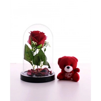 Fanusta Led Işıklı Kırmızı Gül ve Kırmızı Mini Ayıcık Set Sevgiliye Hediye 01W