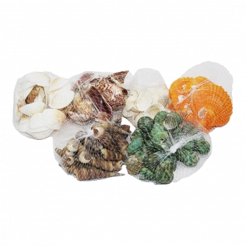 FİLELİ MİDYE DENİZ KABUK VAZO TAŞI RENKLİ MİX (4887)