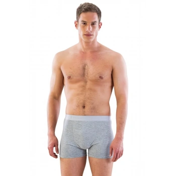 Gri  6700 Erkek Boxer
