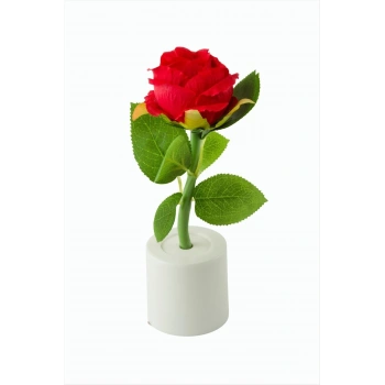 Gül Işıklı Biblo 17 cm