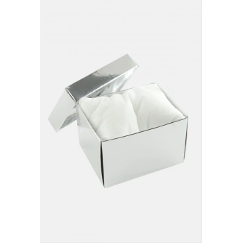 Gümüş Renkli Kapaklı Saat Kutusu