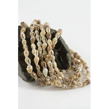 İstiridye Deniz Kabuğu 1 Dizi