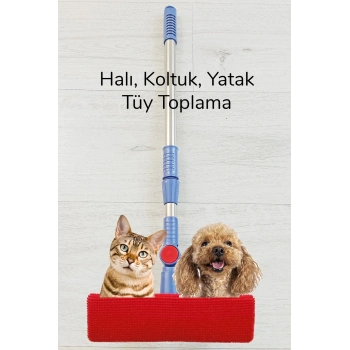 Kedi Köpek Sihirli Tüy Temizleme Fırçası 4 ü 1 Arada Döner Başlıklı