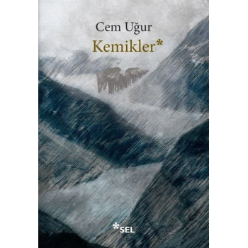 Kemikler
