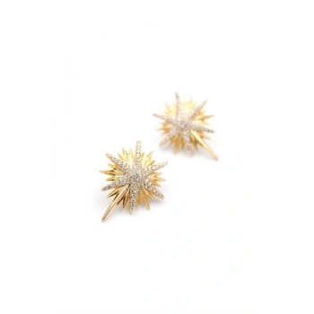Kuzey Yıldızı Küpe - Rose