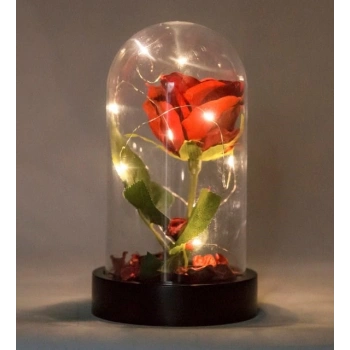 Led Işıklı Fanus İçinde Kırmızı Yapay Gül