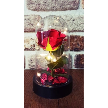 Led Işıklı Şeffaf Mika Fanusta Işıklı  Gül Kırmızı