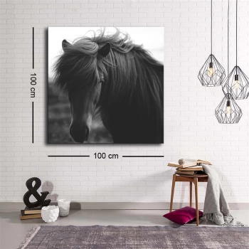 MARSiLYAN- Dekoratif Baskı illüstrasyon Horse 2 Kanvas Tablo