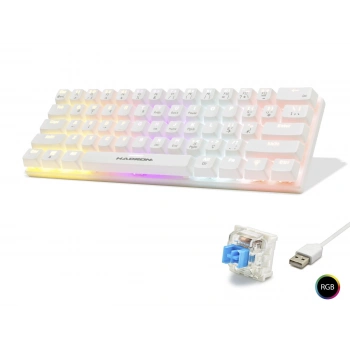Mekanik Gaming Mini Klavye Blue Switch Rgb - Beyaz G508B