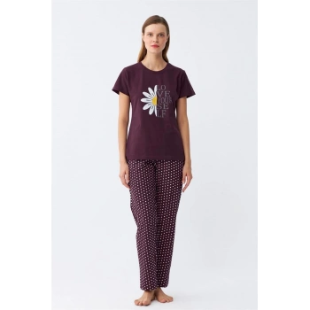 MİRAY- Kadın Mürdüm Papatya Baskılı Kısa Kollu Penye Pijama Takımı