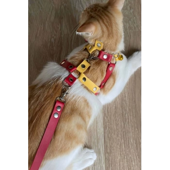 MARSİLYAN- Deri Kedi Gezdirme Tasması, Deri Kedi Göğüs Tasması - NPC013