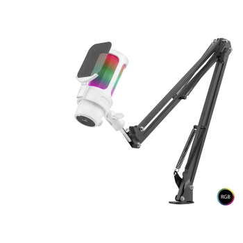 Profesyonel Ayarlanabilir Masa Kolu Askılı Gaming Rgb Mikrofon 192 Khz / 24Bit Type-C - Beyaz M835W
