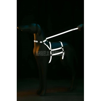 Reflektörlü - Ayarlanabilir Köpek Harness - Köpek Gezdirme Aparatı - Npd007