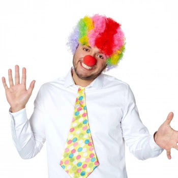 Rengarenk Kıvırcık Afro Bonus Peruk 110 Gr ve Kırmızı Burun Seti (4887)