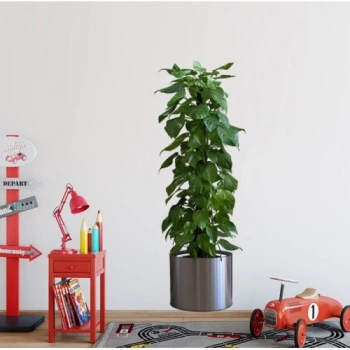 Saksılı Bitki Tasarımlı Yapışkanlı Sticker Resim 90*30 cm (4887)