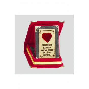 Sen Benim Hayatta Başıma Gelen En Güzel Şeysin Plaketi