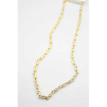 Tfn Zincir Kolye - Altın