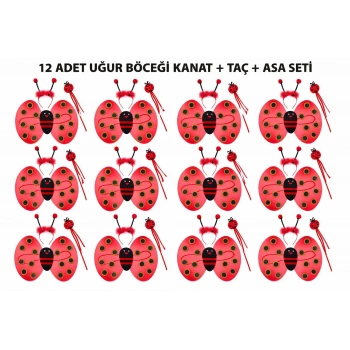 Uğur Böceği Kostüm Seti - Kanat Taç Asa 3 Parça 12 Adet