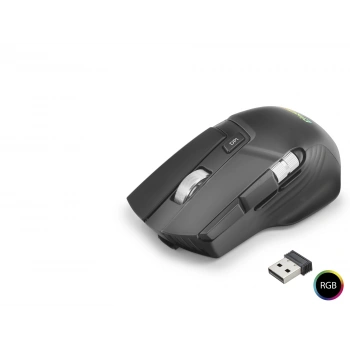 W13 Kablosuz Gaming Mouse Dual Mod 10000 Dpi 10 Tuş 1000 Hz Rgb - Siyah
