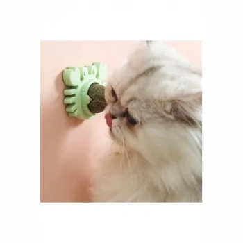 Yengeç Kedi Otu Oyun Topu