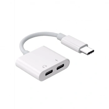 ZR293 Ftac42 Type-C 2 İn 1 Converter Adaptör