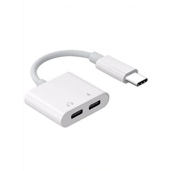 ZR293 Ftac42 Type-C 2 İn 1 Converter Adaptör