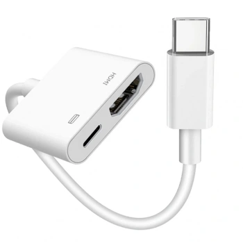 ZR666 Pd100 Type-C To Hdmı Çevirici